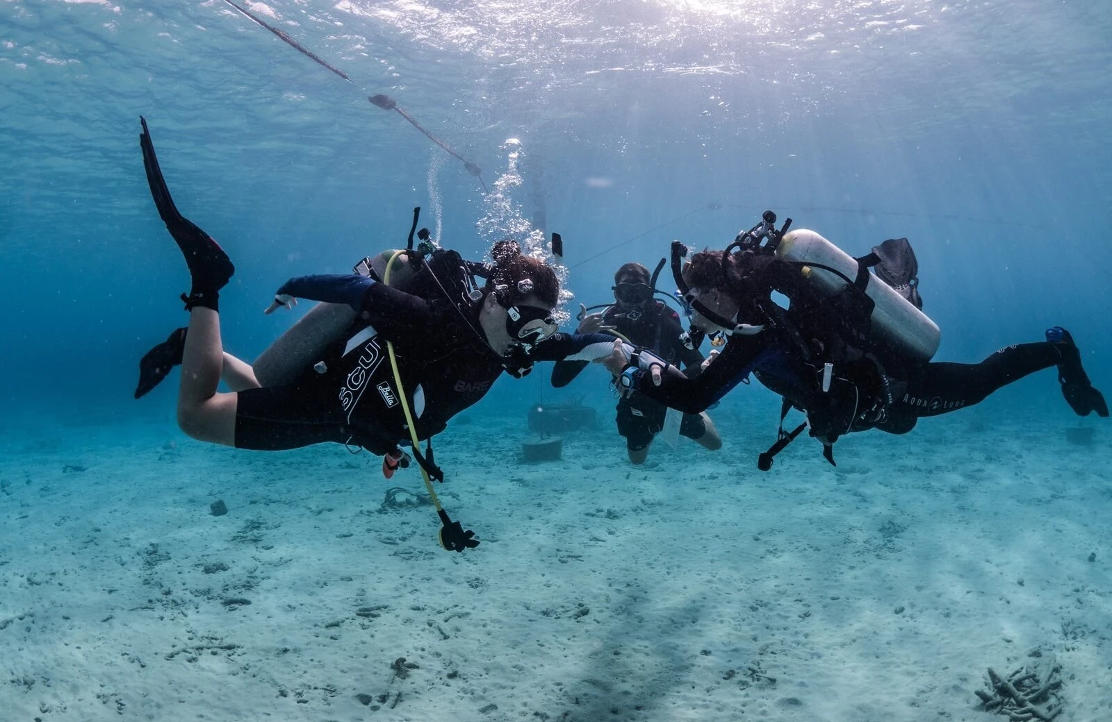 Duiken op bonaire met duikschool bij resort bonaire 68d53cd381520