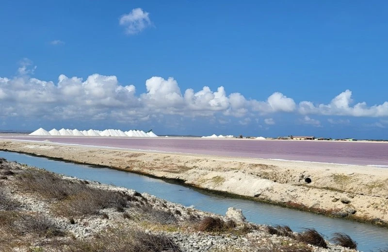 Bezoek de zoutpannes