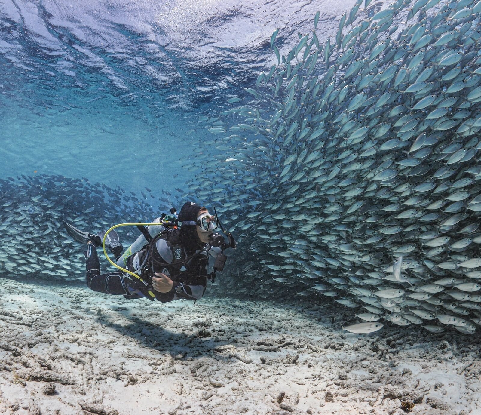 The magical underwater world of Bonaire