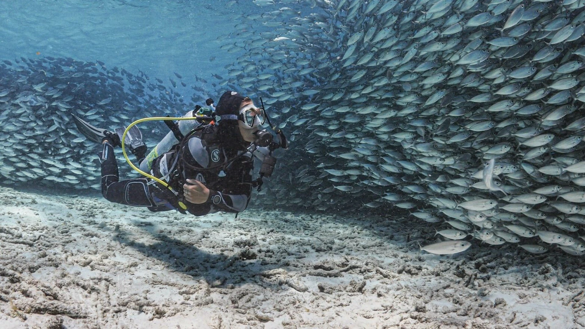 The magical underwater world of Bonaire