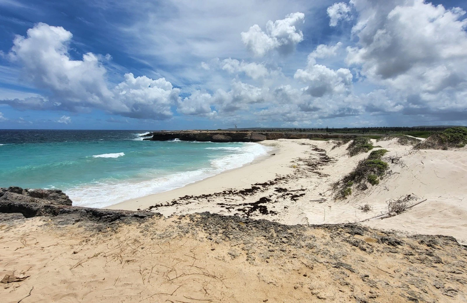Washington slagbaai national park op bonaire 4
