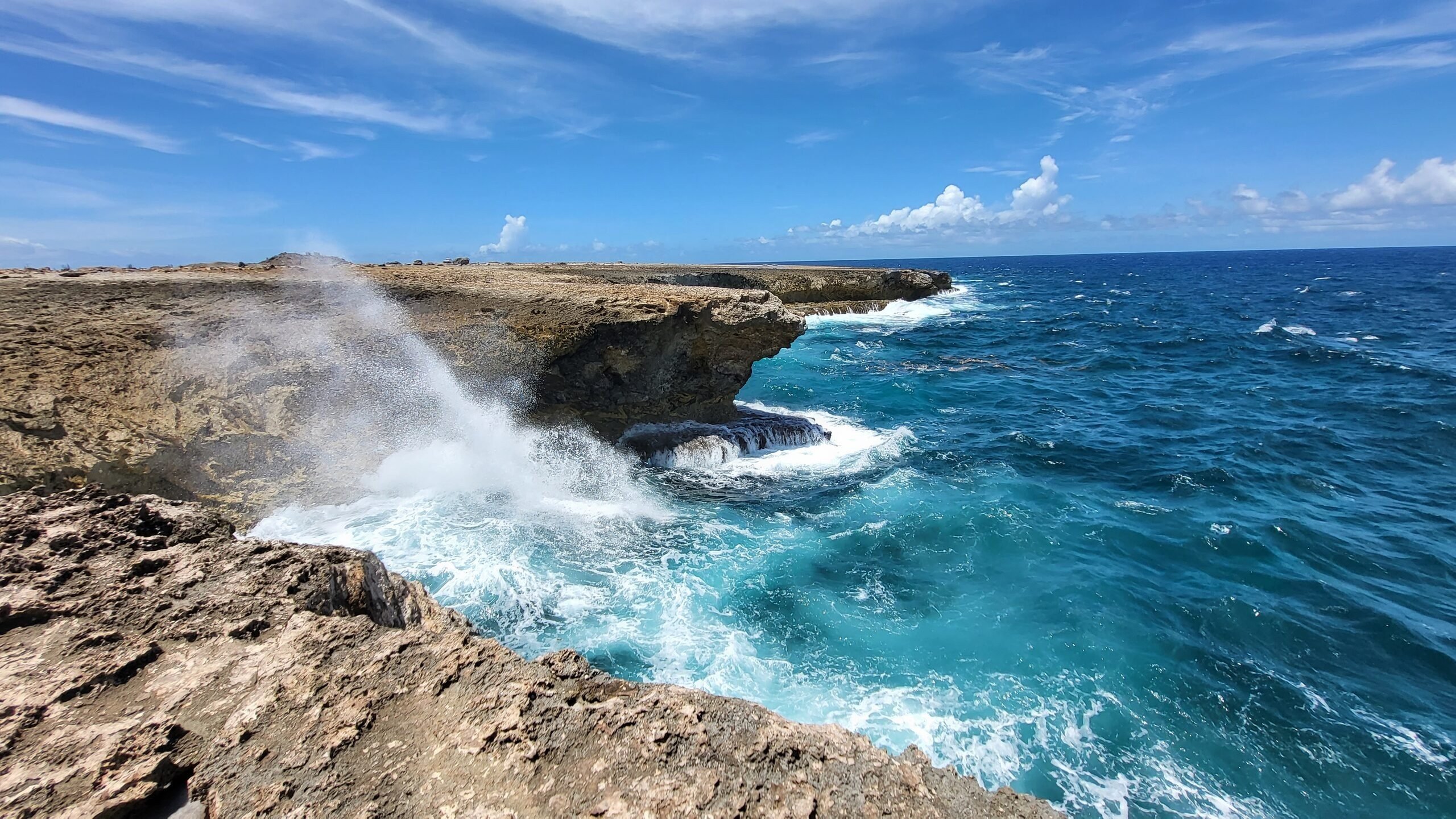 Verken Washington Slagbaai