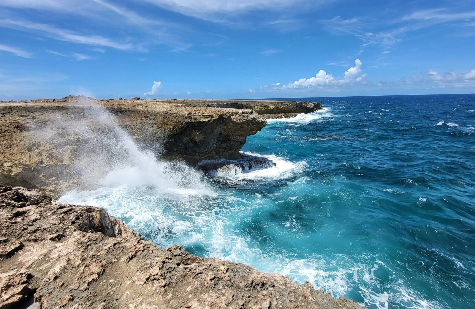 Washington slagbaai national park op bonaire 8